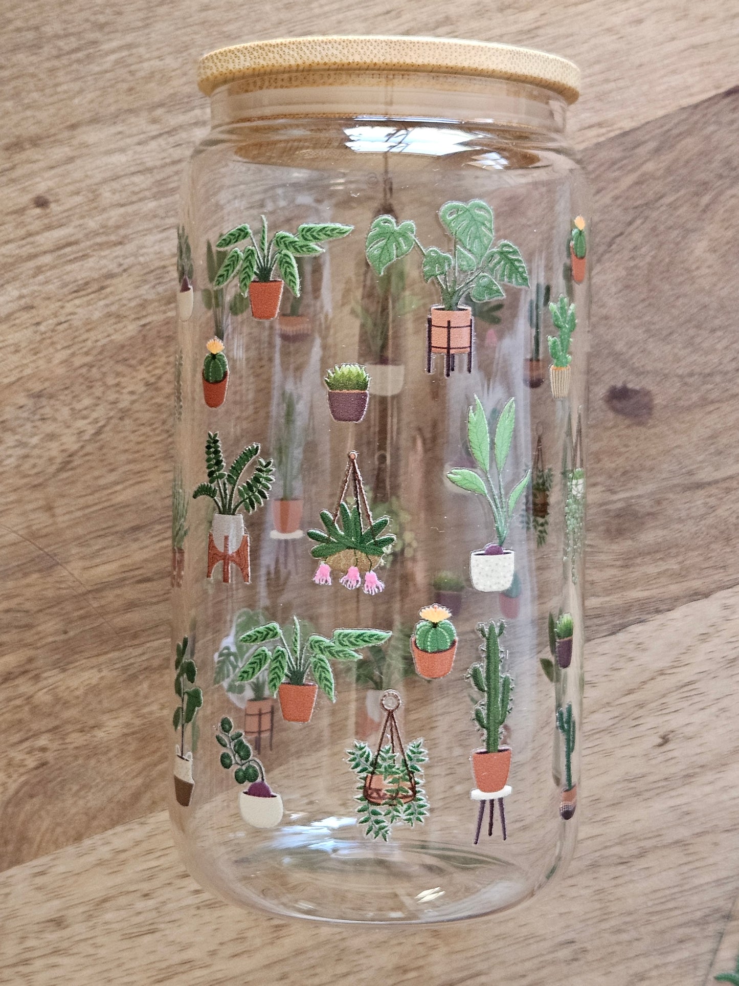 House Plants Glass Cup