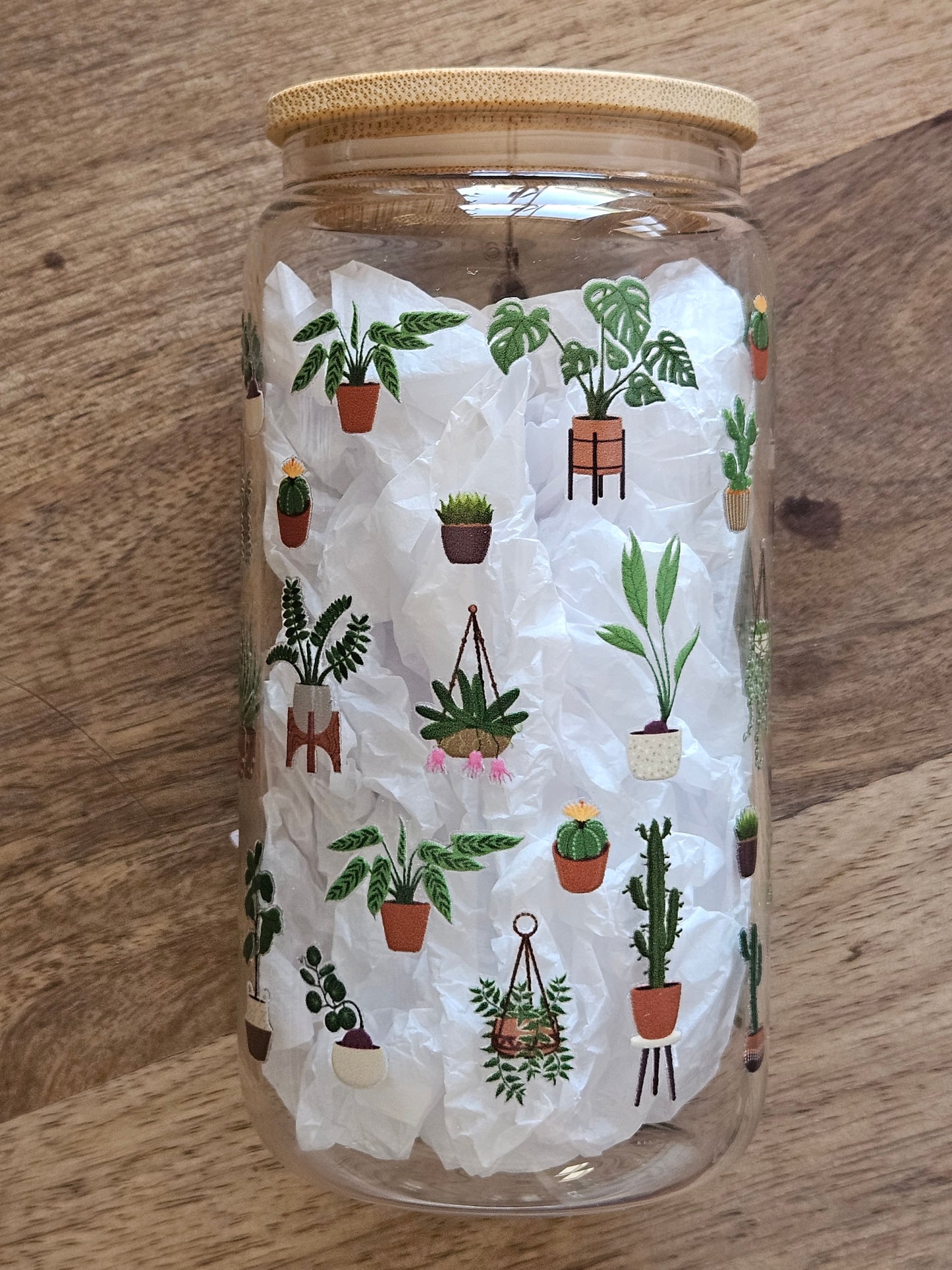 House Plants Glass Cup